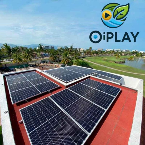 Panel Solar Policristalino 330W 24V  ☀️🔋⚡ - Imagen 5